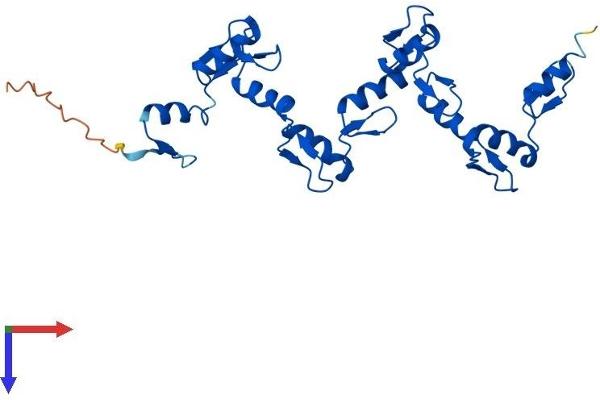 ZNF501 Protein (AA 1-271) (His tag)