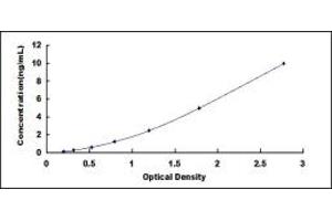 Typical standard curve (HNF1A ELISA Kit)