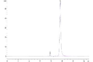 The purity of Human CRP is greater than 95 % as determined by SEC-HPLC. (CRP Protein (AA 19-224) (His tag))