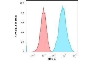 Flow Cytometric Analysis of human Raji cells using HLA-DR Monoclonal Antibody (SPM289) followed by Goat anti-Mouse IgG-CF488 (Blue); Isotype Control (Red). (HLA-DR Antikörper)