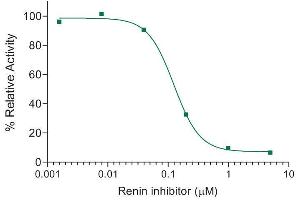 Activity Assay (AcA) image for SensoLyte® 520 Mouse Renin Assay Kit (ABIN1882547) (SensoLyte® 520 Maus Renin Assay Kit)