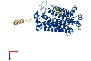 PAQR7 Protein (AA 1-346) (His tag)