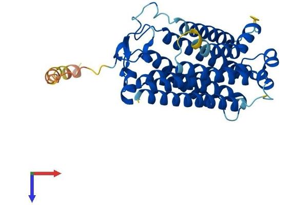 PAQR7 Protein (AA 1-346) (His tag)
