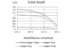 Black line: Control Antigen (100 ng),Purple line: Antigen (10 ng), Blue line: Antigen (50 ng), Red line:Antigen (100 ng) (Asialoglycoprotein Receptor 2 Antikörper  (AA 80-311))