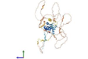 Protein Structure (PS) image for TRAF3 Interacting Protein 2 (TRAF3IP2) (AA 1-574) protein (His tag) (ABIN7546580)