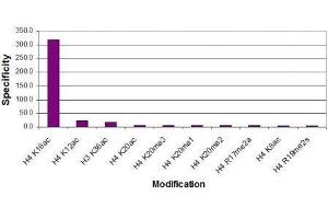 Histone H4K16ac antibody (pAb) specificity tested by peptide array analysis. (Histone H4 Antikörper  (acLys16))