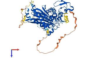 PPM1J Protein (AA 1-505) (His tag)