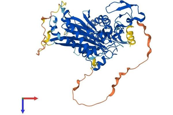 PPM1J Protein (AA 1-505) (His tag)