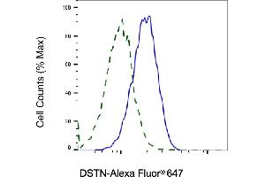 Validation of DSTN knockdown using flow cytometry.