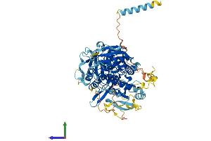 Protein Structure (PS) image for Exostoses (Multiple)-Like 1 (EXTL1) (AA 1-669) protein (His tag) (ABIN7561652)