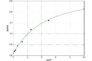 Cellular Retinoic Acid Binding Protein 2 (CRABP2) ELISA Kit