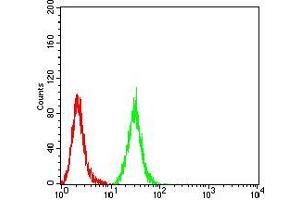 Flow cytometric analysis of Hela cells using MIB1 mouse mAb (green) and negative control (red). (MIB1 Antikörper  (AA 6-221))