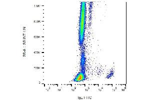 Surface staining of IgE on human peripheral blood cells with anti-IgE (4H10) FITC. (Maus anti-Human IgE Antikörper (FITC))