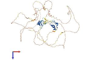 GATA6 Protein (AA 1-589) (His tag)