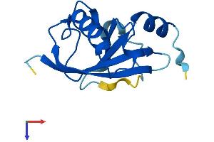 C2ORF76 Protein (AA 1-126) (His tag)