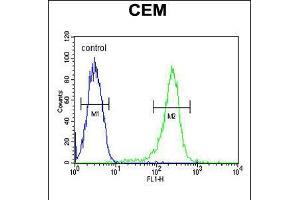 Flow cytometric analysis of CEM cells (right histogram) compared to a negative control cell (left histogram). (HAUS5 Antikörper  (N-Term))