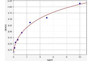 Bone Morphogenetic Protein 10 (BMP10) ELISA Kit