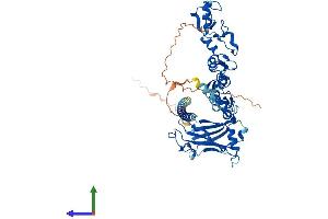 Protein Structure (PS) image for TNF Receptor-Associated Factor 6 (TRAF6) (AA 1-530) protein (His tag) (ABIN7563515)