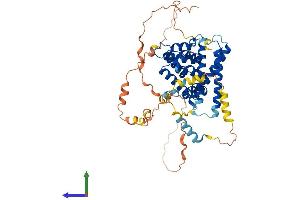Protein Structure (PS) image for Target of Myb 1 (TOM1) (AA 1-492) protein (His tag) (ABIN7544500)