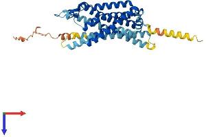 GHSR Protein (AA 1-366) (His tag)