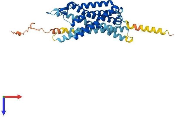GHSR Protein (AA 1-366) (His tag)