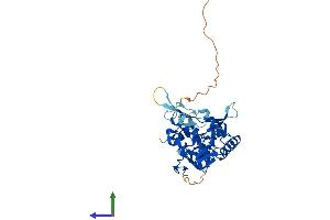 Protein Structure (PS) image for LIM and Cysteine-Rich Domains 1 (LMCD1) (AA 1-365) protein (His tag) (ABIN7549153)