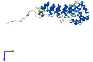 ASB1 Protein (AA 1-335) (His tag)