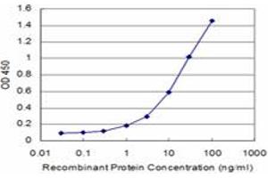 Detection limit for recombinant GST tagged AKT2 is approximately 1ng/ml as a capture antibody.