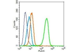 Human U251 cells probed with APJ Receptor Polyclonal Antibody, Unconjugated  (green) at 1:100 for 30 minutes followed by a PE conjugated secondary antibody compared to unstained cells (blue), secondary only (light blue), and isotype control (orange).