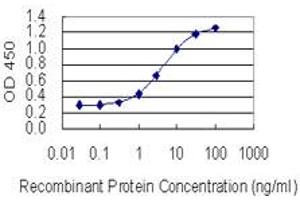 Detection limit for recombinant GST tagged KIF21B is 0. (KIF21B Antikörper  (AA 1183-1282))