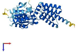 RFC3 Protein (AA 1-356) (His tag)