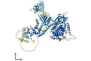 Protein Structure (PS) image for TBC1 Domain Family, Member 8 (With GRAM Domain) (TBC1D8) (AA 1-1140) protein (His tag) (ABIN7555711)