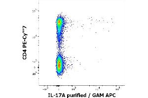 Flow cytometry multicolor intracellular staining of PHA stimulated and Brefeldin A treated peripheral whole blood showing lymphocytes stained using anti-human CD4 (MEM-241) PE-Cy™7 antibody (4 μL reagent / 100 μL of peripheral whole blood) and anti-human IL-17A (9F9) purified antibody (concentration in sample 0,5 μg/mL, GAM APC). (Interleukin 17a Antikörper)