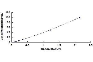 Typical standard curve (METRNL ELISA Kit)