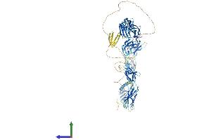AlphaFold protein structure predicition of Mouse Recombinant Fndc3b Protein, UniprotID Q6NWW9