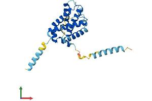 Protein Structure (PS) image for BCL2-Related Ovarian Killer (BOK) (AA 1-212) protein (His tag) (ABIN7552841)