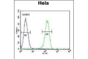 Flow cytometric analysis of Hela cells (right histogram) compared to a negative control cell (left histogram). (ADCY4 Antikörper  (AA 415-441))