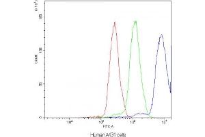 Flow Cytometry (FACS) image for anti-Nuclear Factor of Activated T-Cells, Cytoplasmic, Calcineurin-Dependent 3 (NFATC3) antibody (ABIN5647603)