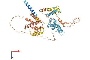 ZBTB14/ZFP161 Protein (AA 1-449) (His tag)