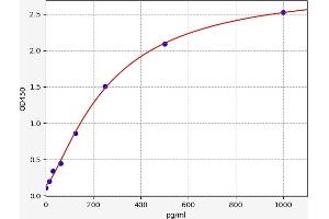 Cardiotrophin 1 (CTF1) ELISA Kit