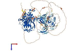KDM4C Protein (AA 1-1054) (His tag)