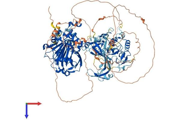 KDM4C Protein (AA 1-1054) (His tag)