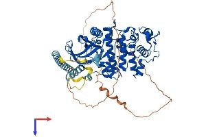 SRPK3 Protein (AA 1-565) (His tag)