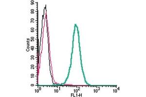 Cell surface detection of GPR97 by indirect flow cytometry in live intact human  monocytic leukemia cell line: + goat-anti-rabbit-FITC.