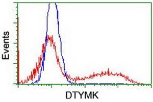 Flow Cytometry (FACS) image for anti-Deoxythymidylate Kinase (Thymidylate Kinase) (DTYMK) antibody (ABIN1497920) (DTYMK Antikörper)