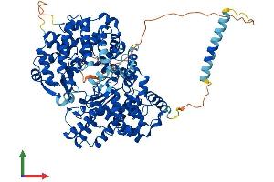 Protein Structure (PS) image for Endothelin Converting Enzyme-Like 1 (ECEL1) (AA 1-775) protein (His tag) (ABIN7553760)