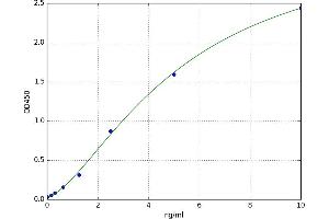A typical standard curve (DUOX2 ELISA Kit)