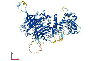 Protein Structure (PS) image for Mediator Complex Subunit 16 (MED16) (AA 1-828) protein (His tag) (ABIN7564131)