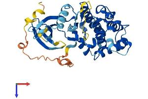CCRK Protein (AA 1-346) (His tag)