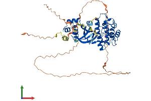 AlphaFold protein structure predicition of Mouse Recombinant Smok2a Protein, UniprotID Q9QYZ6